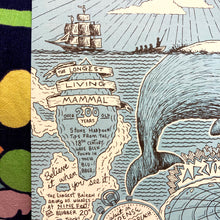 Bowhead Whale art print
