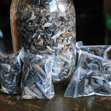 Bag of Fossil Shark Teeth (100+ pieces)