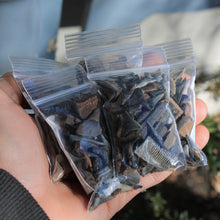 Bag of Fossil Shark Teeth (100+ pieces)