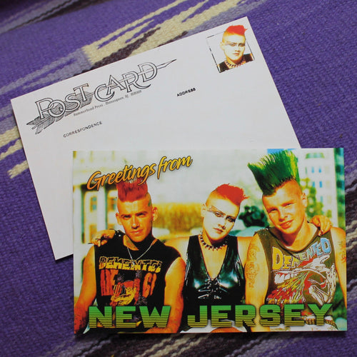 Greetings from New Jersey postcard vintage punks funny NJ punk rock card