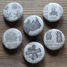 6 pinback buttons: Rhinoceros, Beetle, Cell Structures, and other antique images - RadCakes Shirt Printing