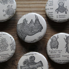 6 pinback buttons: Rhinoceros, Beetle, Cell Structures, and other antique images - RadCakes Shirt Printing