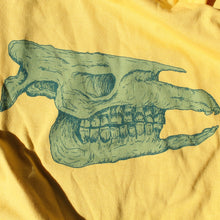 Ice Age Skull adult MEDIUM shirt
