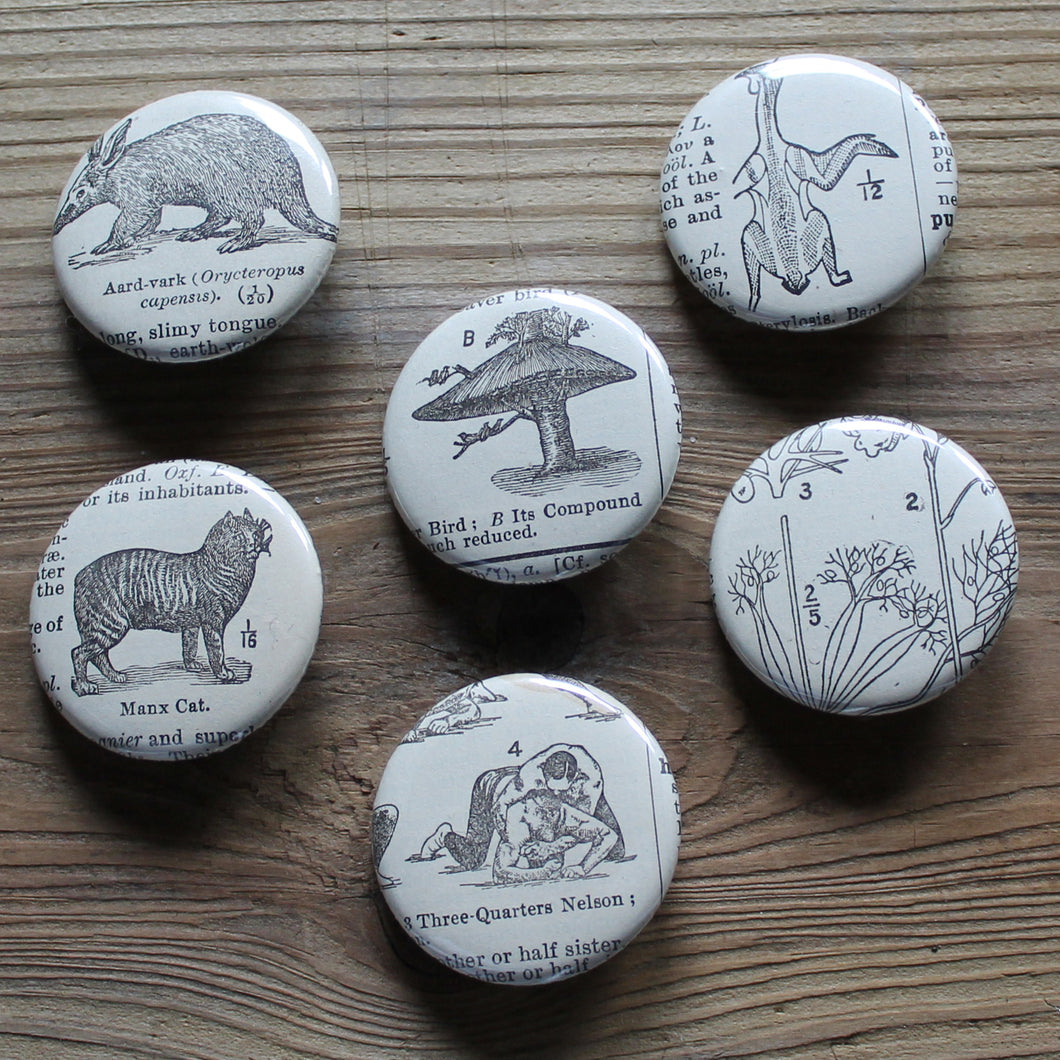 6 pinback buttons: Mushroom Tree, Aardvark, Wrestlers, and other antique images - RadCakes Shirt Printing