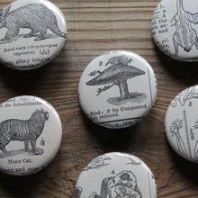 6 pinback buttons: Mushroom Tree, Aardvark, Wrestlers, and other antique images - RadCakes Shirt Printing
