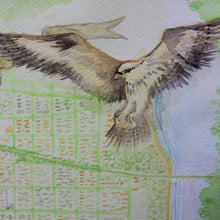Watercolor osprey by Ryan Wade Sea Girt map for sale at radcakes.com