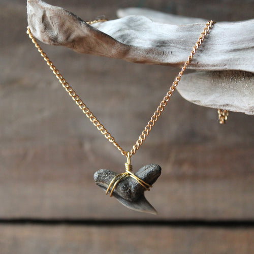 Fossil Tiger Shark Tooth choker necklace 002 - RadCakes Shirt Printing