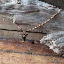 Fossil Snaggletooth Shark Tooth choker necklace 002 - RadCakes Shirt Printing