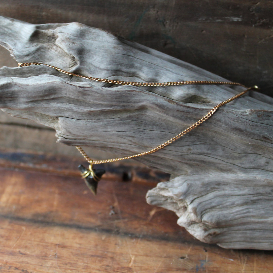 Shark tooth on sale choker