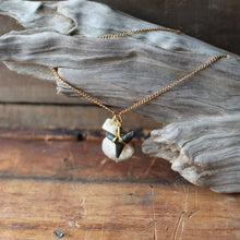 Fossil Lemon Shark Tooth and Shell long necklace - RadCakes Shirt Printing