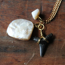 Fossil Lemon Shark Tooth and Shell long necklace - RadCakes Shirt Printing