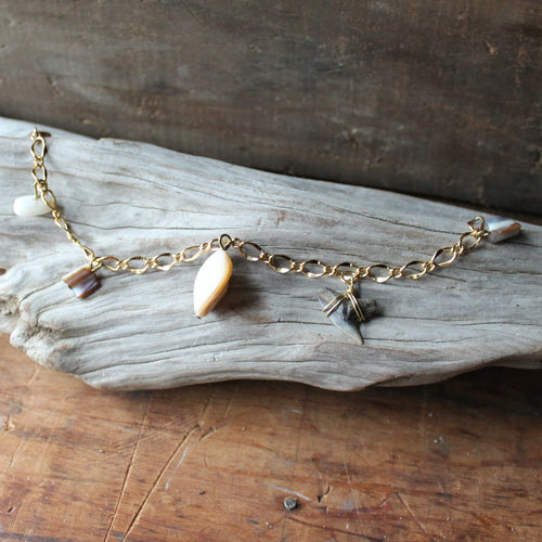 Fossil Tiger Shark Tooth and Shell charm bracelet 001 - RadCakes Shirt Printing