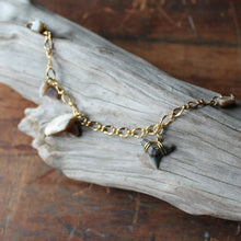 Fossil Tiger Shark Tooth and Shell charm bracelet 002 - RadCakes Shirt Printing
