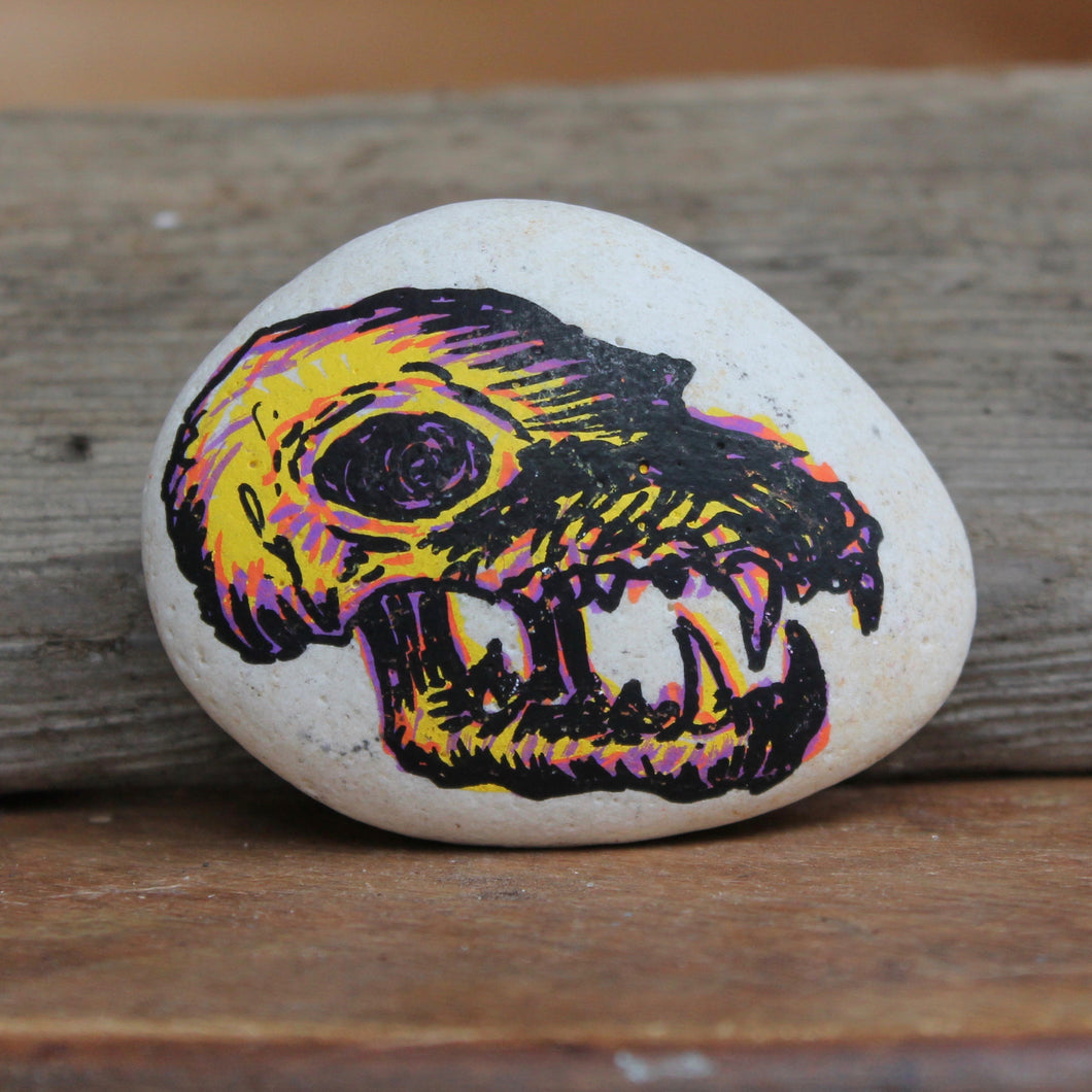 Carnivore Skull hand-painted paperweight rock