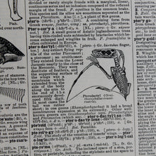 Antique 1920 Encyclopedia "Pterodactyl" page in borderless picture frame - RadCakes Shirt Printing