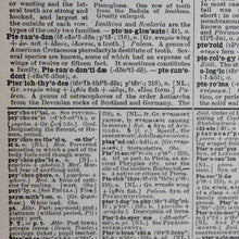 Antique 1920 Encyclopedia "Pterodactyl" page in borderless picture frame - RadCakes Shirt Printing