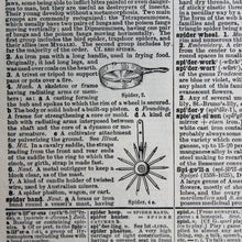 Antique 1920 Encyclopedia "Spider" page in borderless picture frame - RadCakes Shirt Printing