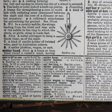 Antique 1920 Encyclopedia "Spider" page in borderless picture frame - RadCakes Shirt Printing