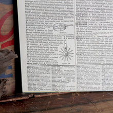 Antique 1920 Encyclopedia "Spider" page in borderless picture frame - RadCakes Shirt Printing