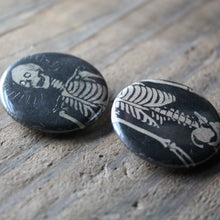 Pair of Skeleton pinback buttons - RadCakes Shirt Printing