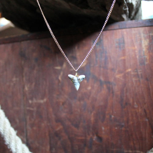 Fossil Shark Tooth choker necklace - RadCakes Shirt Printing