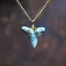 Fossil Shark Tooth choker necklace - RadCakes Shirt Printing