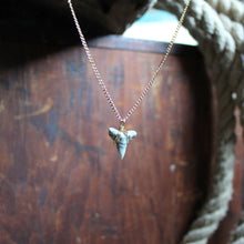 Fossil Shark Tooth choker necklace - RadCakes Shirt Printing