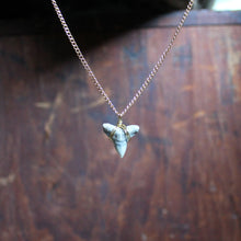 Fossil Shark Tooth choker necklace - RadCakes Shirt Printing