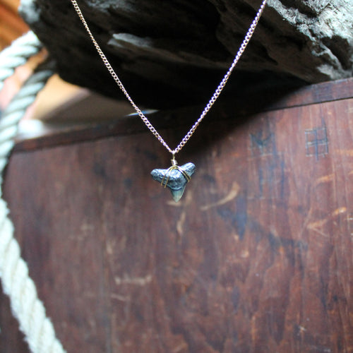 Fossil Tiger Shark Tooth choker necklace 007 - RadCakes Shirt Printing
