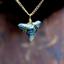Fossil Tiger Shark Tooth choker necklace 007 - RadCakes Shirt Printing