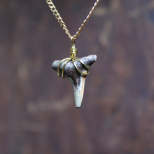Handmade Shark Tooth choker necklace - RadCakes Shirt Printing