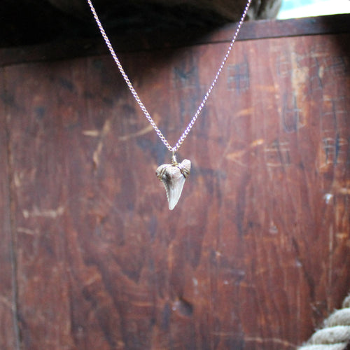 Fossil Snaggletooth Shark Tooth choker necklace 004 - RadCakes Shirt Printing