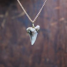 Fossil Snaggletooth Shark Tooth choker necklace 004 - RadCakes Shirt Printing
