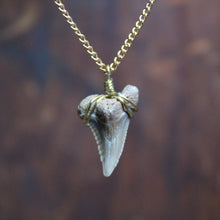 Fossil Snaggletooth Shark Tooth choker necklace 004 - RadCakes Shirt Printing