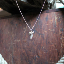 Fossil Snaggletooth Shark Tooth choker necklace 004 - RadCakes Shirt Printing