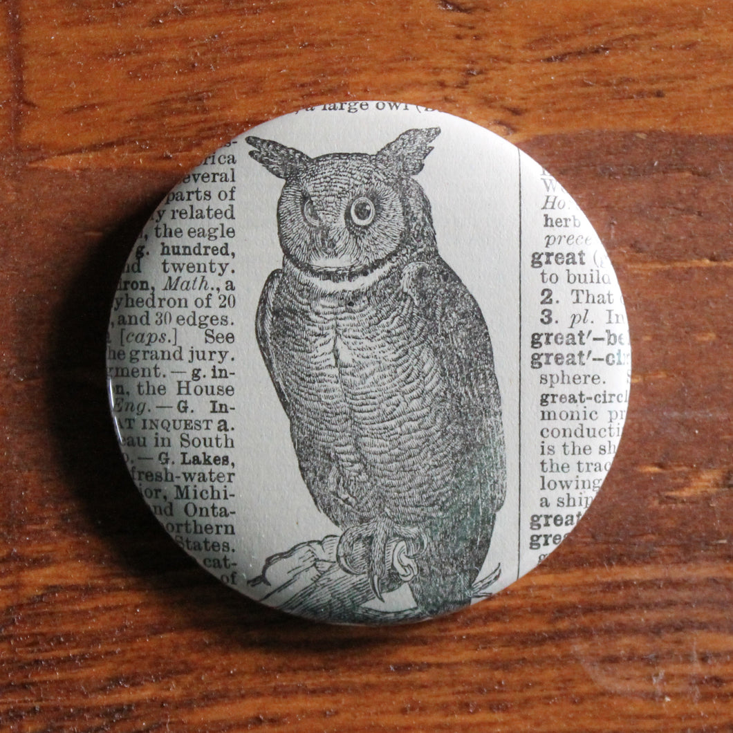 Great Horned Owl 2.25