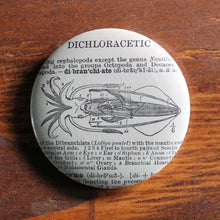 Scientific Squid Cross Section 2.25" pinback button - RadCakes Shirt Printing