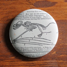 Bat Skeletal System 2.25" pinback button - RadCakes Shirt Printing