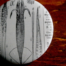 Parts of a Squid 2.25" pinback button - RadCakes Shirt Printing