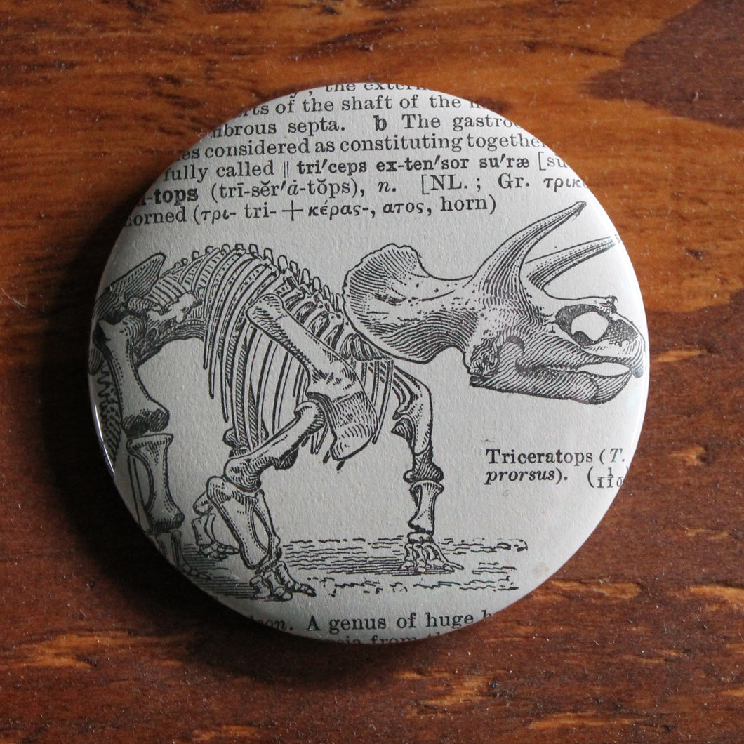 Triceratops skeleton pinback button scientific dinosaur engravings sold on RadCakes.com