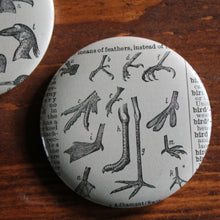 Pair of Bird Head and Feet 2.25" pinback buttons - RadCakes Shirt Printing