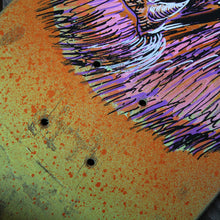 Grizzly Bear Skateboard Deck original artwork - RadCakes Shirt Printing