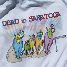 Grateful Dead Saratoga Springs concert shirt - RadCakes Shirt Printing
