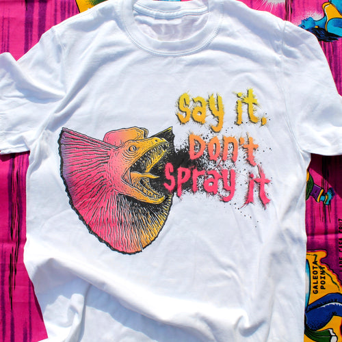 Say It, Don't Spray It shirt