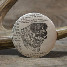 Newfoundland Dog pinback button for sale for Newfy pet lovers