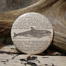 Killer Whale pinback button Orca marine mammal pin for sale