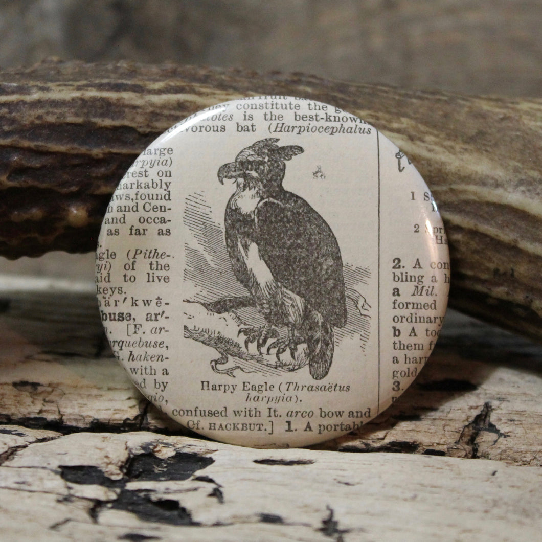 Harpy Eagle pinback button for sale Bird of Prey art pin