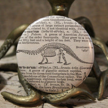 Bronotsaurus skeleton pinback button dinosaur button for sale