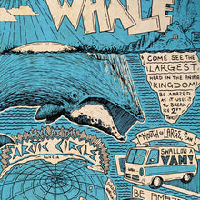 Bowhead Whale poster 12" x 18"