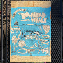 Bowhead Whale poster 12" x 18"
